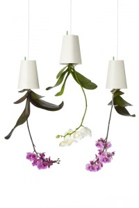 Sky Planter -