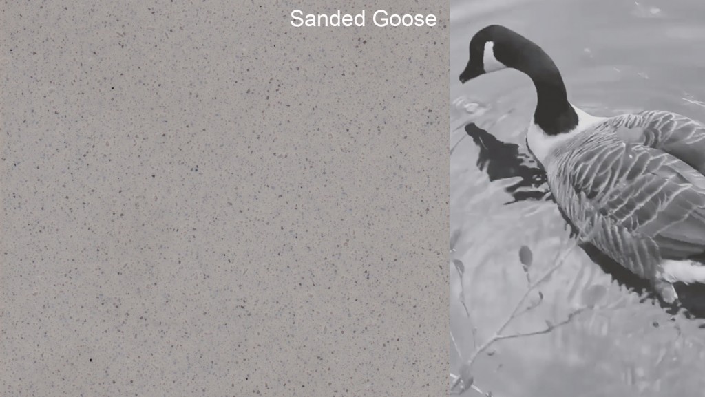 Sanded Goose